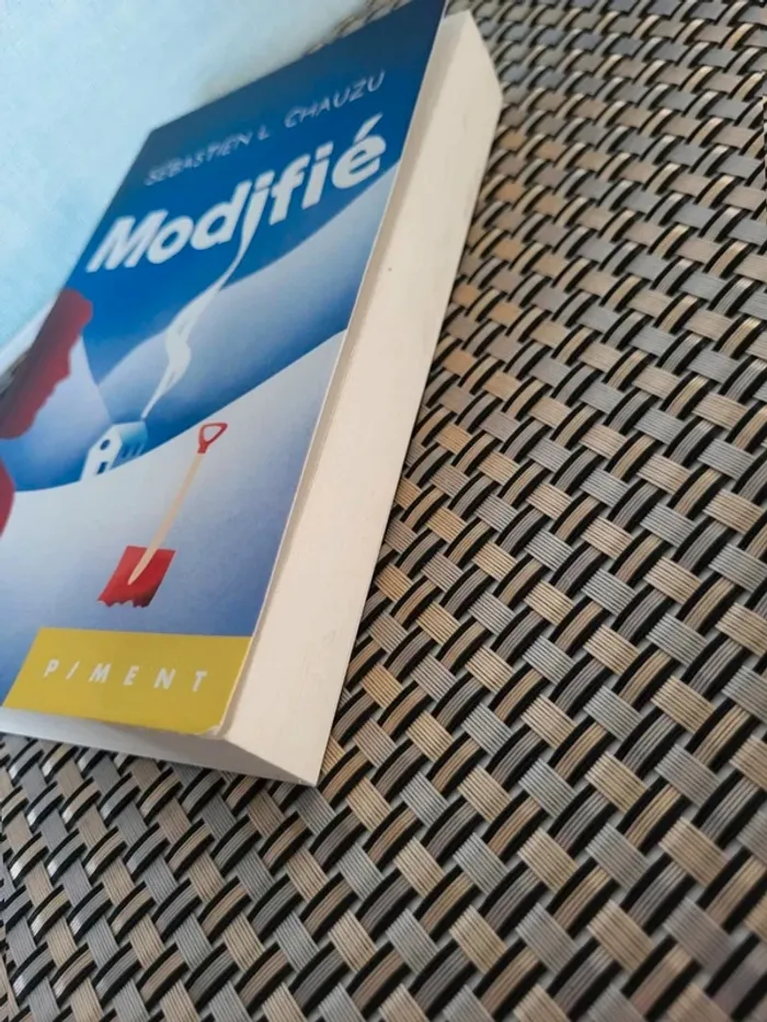 Livre  Modifié  de Sébastien  Chauzu - photo numéro 3
