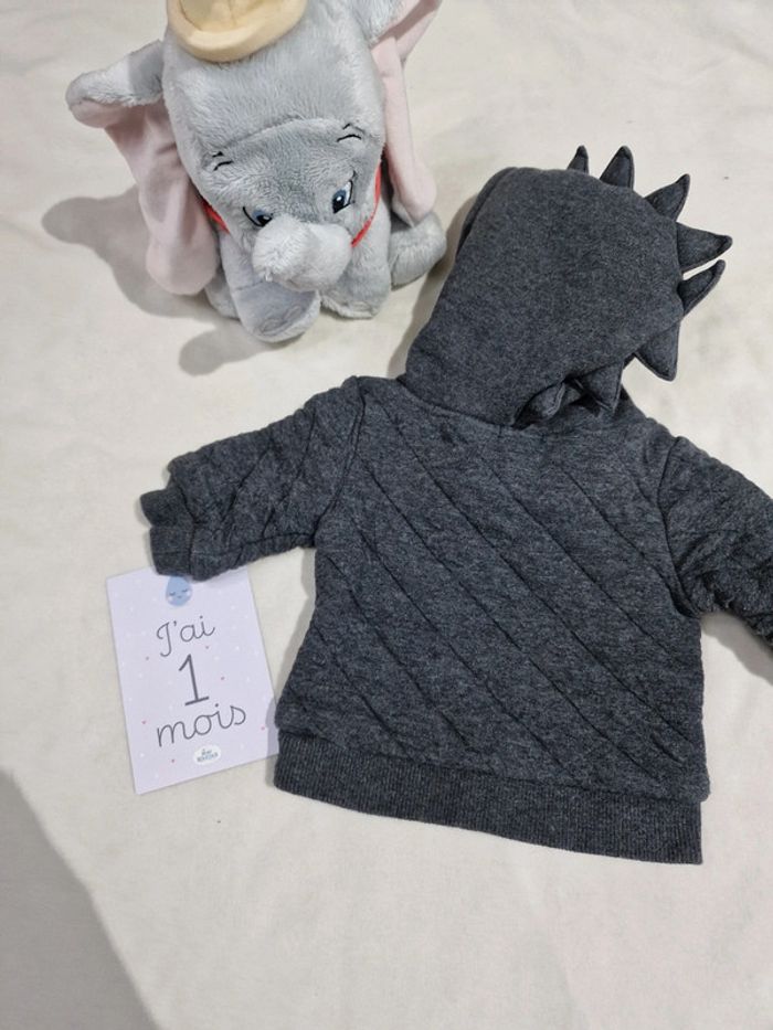 Pull à capuche - photo numéro 3