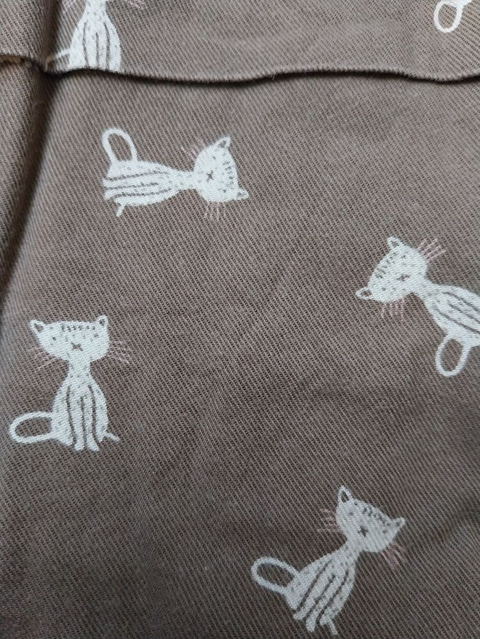 Robe chat - photo numéro 4