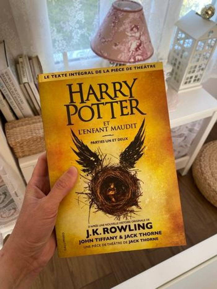 Livre Harry Potter - photo numéro 1