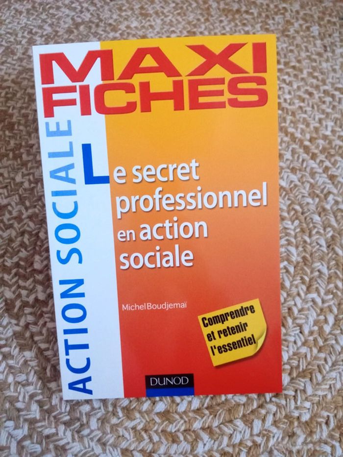Maxi Fiches Le secret professionnel en action sociale