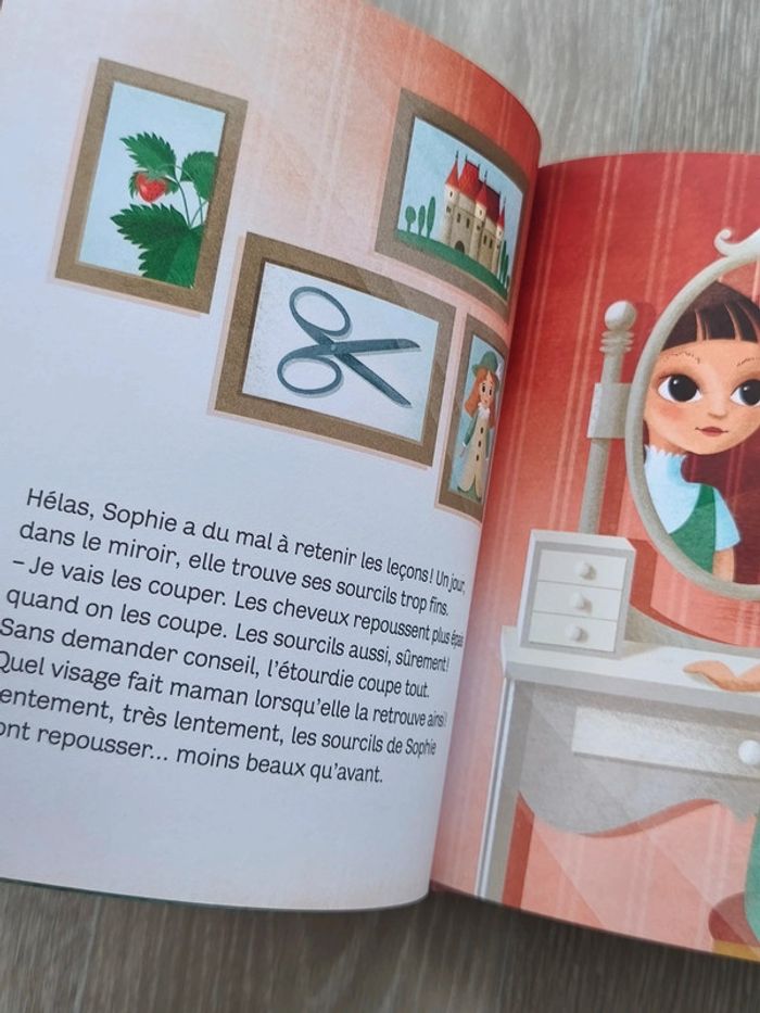 Les malheurs de Sophie, raconté aux petits - photo numéro 2