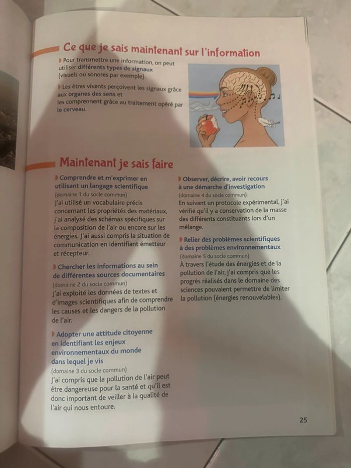 Les cahiers de la luciole au cycle 3 sciences et technologie - photo numéro 3