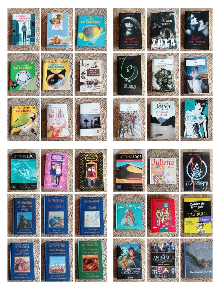 Divers livres - photo numéro 4