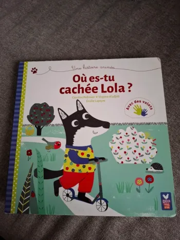 Livre "Où es-tu cachée Lola ?"