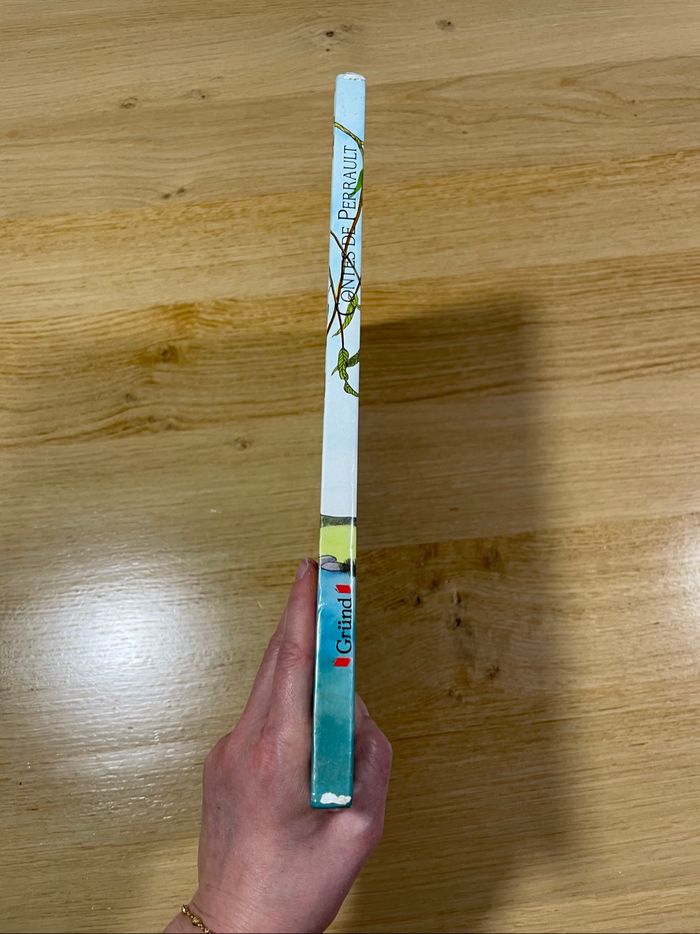 Livre contes de Perrault - photo numéro 2