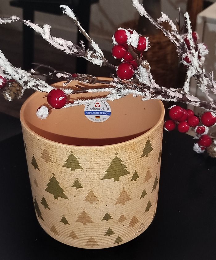 🎄 Scheurich Cache Pot décoratif