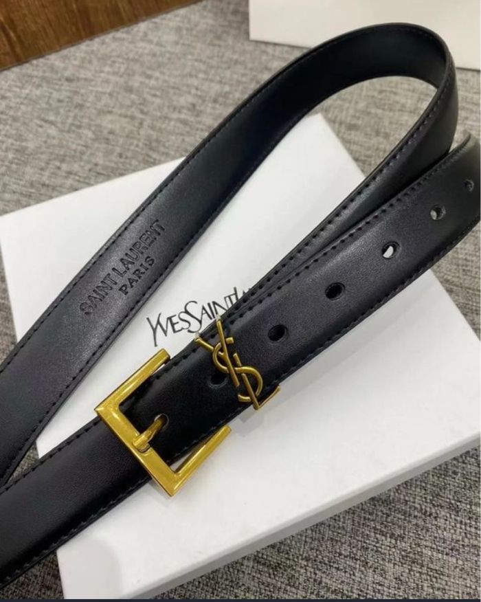 Ceinture saint Laurent - photo numéro 4