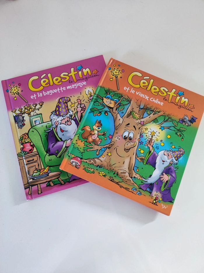 Lot 2 livres Celestin le magicien / jeunesse