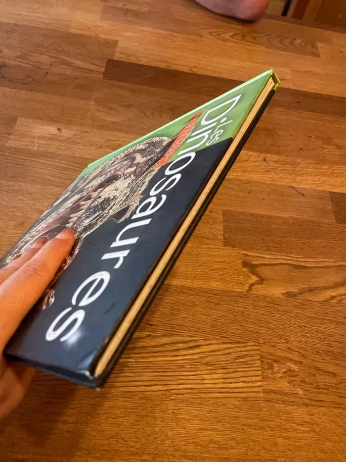 Livre Les dinosaures À la loupe - photo numéro 5
