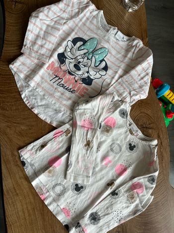 Lot 2 pulls fins Minnie