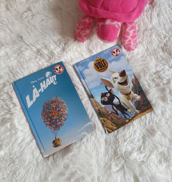 📚Lot 2 livres Disney 📚