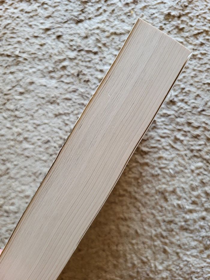 Livre Le club des policiers yiddish de Michael Chabon - photo numéro 3