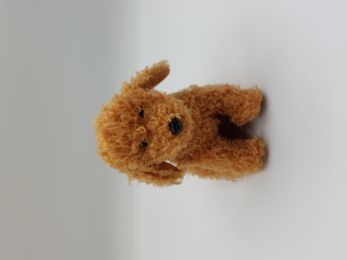 Petite Peluche doudou chien caniche JEMINI marron miel 16 cm bouclette