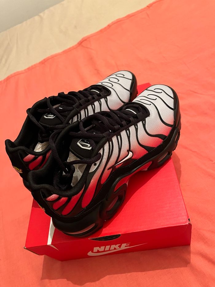 Tn neuve - photo numéro 5