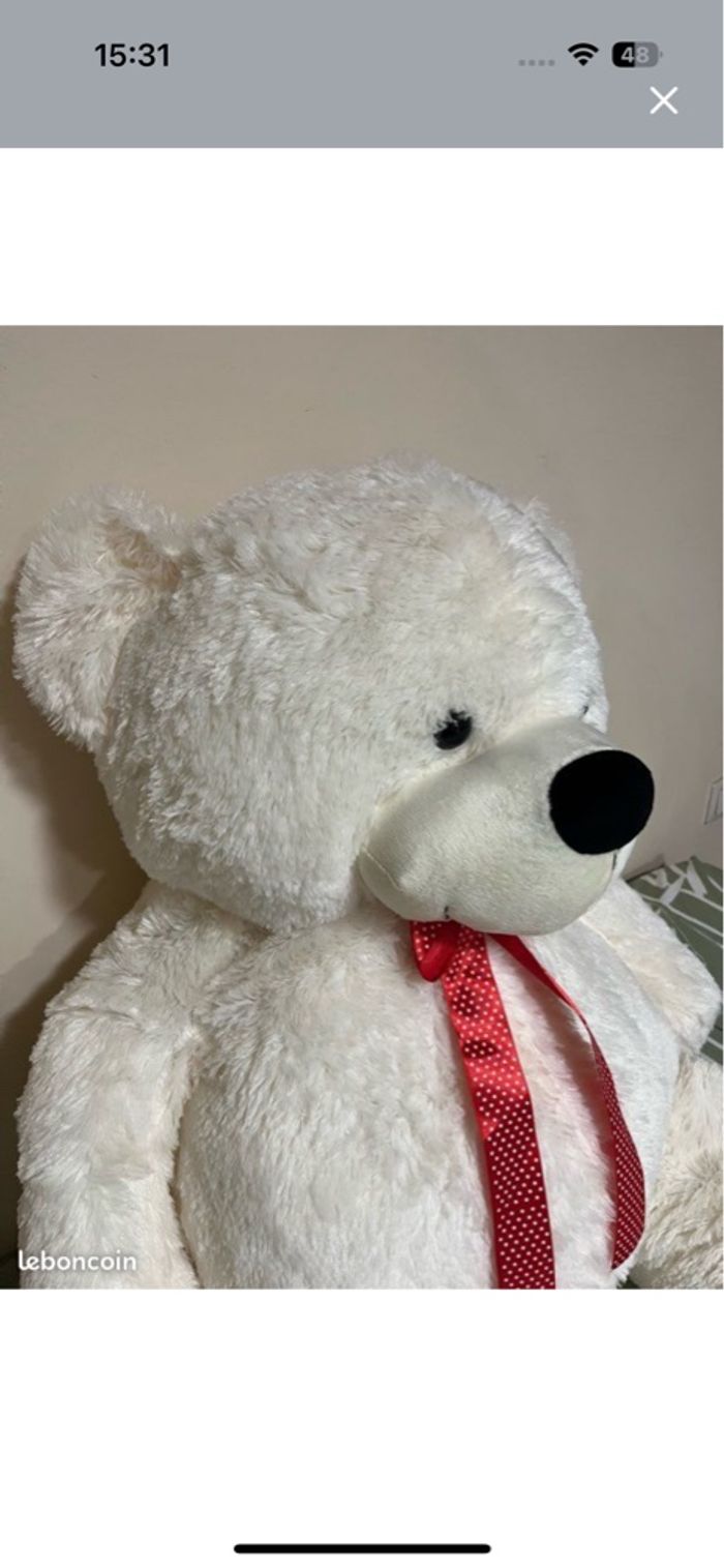 Grand nounours tout doux - photo numéro 3