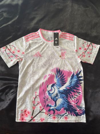 Maillot Japon