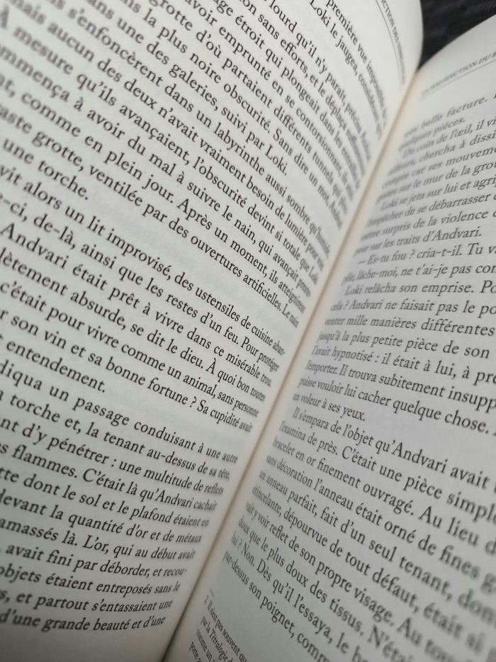 SIEGFRIED et la malédiction des Nibelungen - photo numéro 2