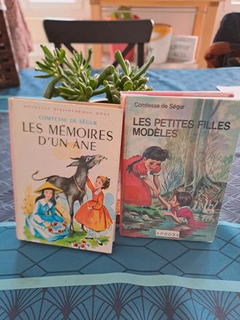 Lot 2 livres Bibliothèque Rose, Comtesse de Ségur