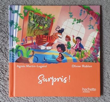Roman pour enfants "Surpris!" - Collection Le Musée Magique (4-6 ans) / Hachette