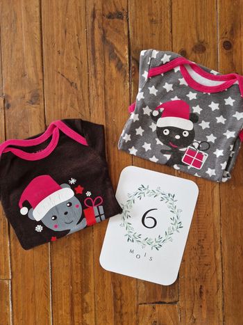 Lot de 2 bodies Petit Beguin 6 mois