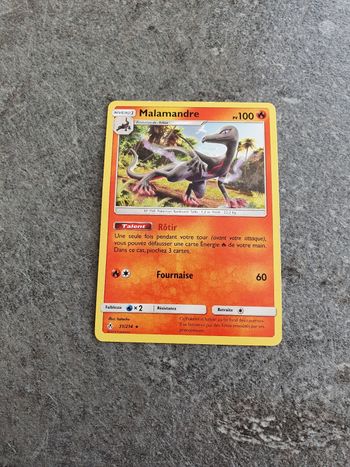 Carte Pokemon Malamandre