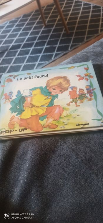 Livre le Petit poucet
