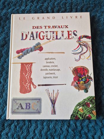 Livre titre  Des travaux d'aiguilles