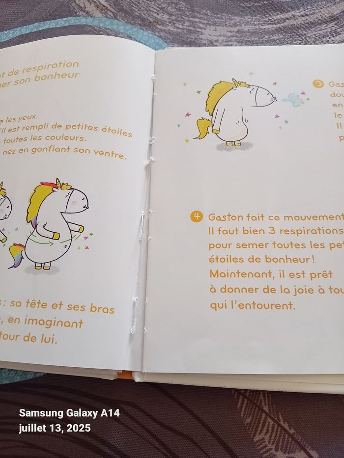 Livre Les émotions de Gaston - photo numéro 4