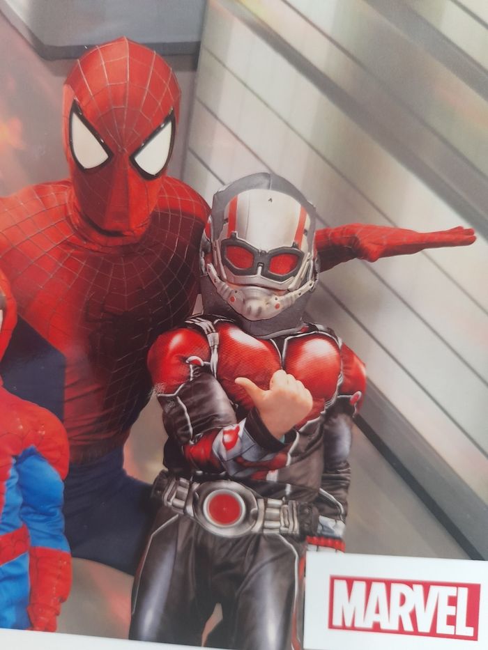 Costume Antman