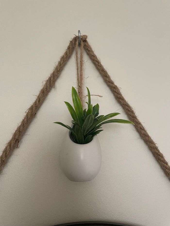 Plantes artificielles - photo numéro 4