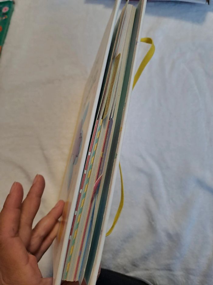 Mon livre de naissance - photo numéro 3