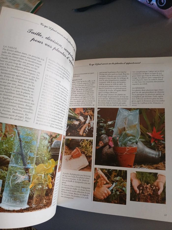 🍍 Livre Les plantes d intérieur - photo numéro 9