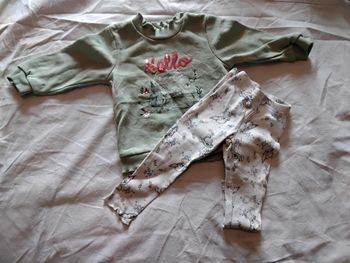 Ensemble Bambi