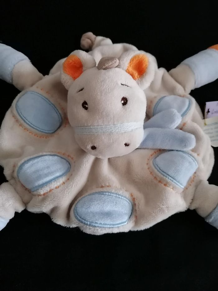 Cheval ronds - photo numéro 2