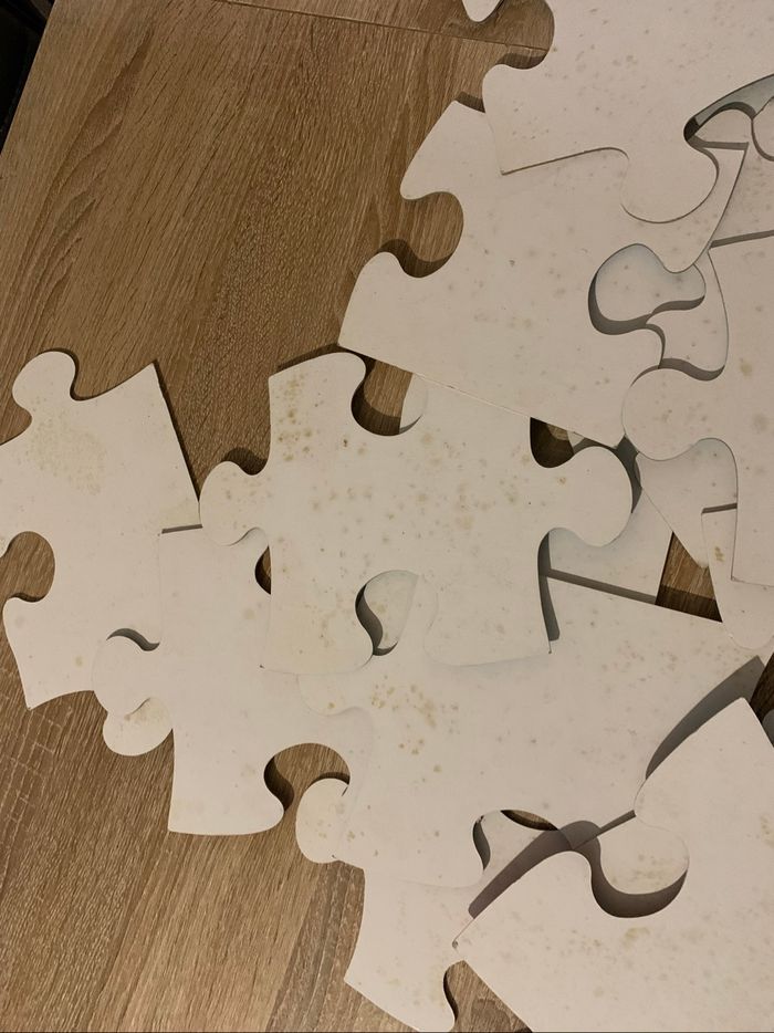 Puzzle de sol 24 pièces notre monde - photo numéro 7