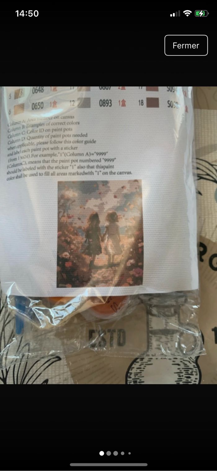 Kit complet de peinture par numéro - Neuf