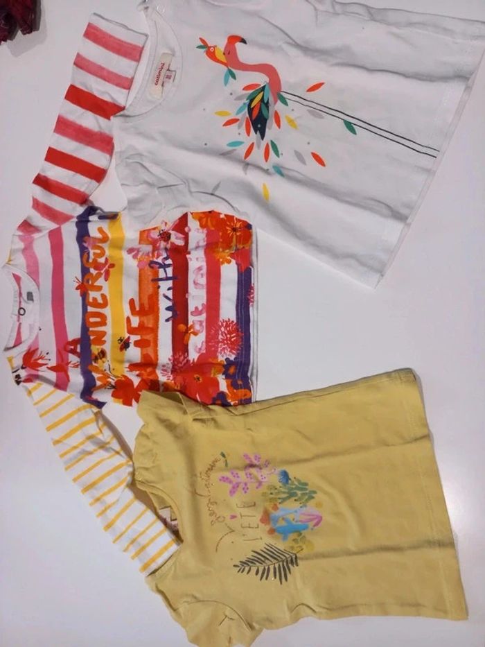 Lot tee shirt 18 mois Catimini