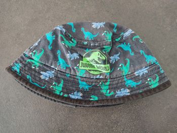 Chapeau dinosaures