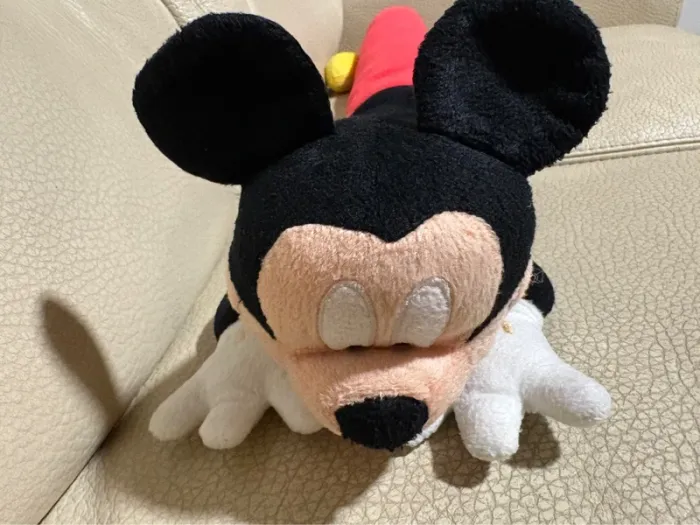 Boudin de porte Mickey - photo numéro 3