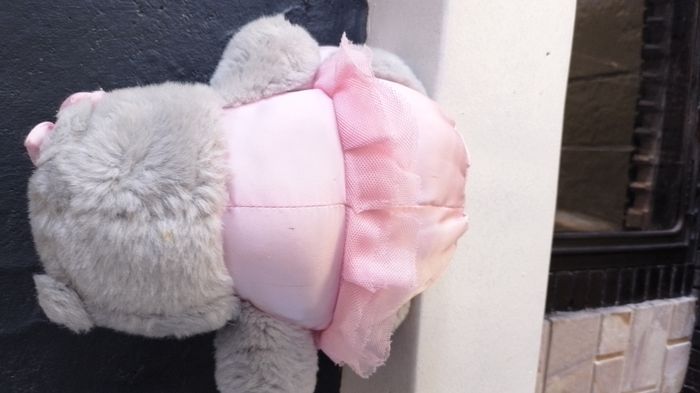 peluches - photo numéro 4
