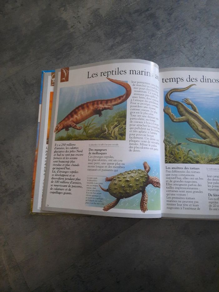 Imagia Les dinosaures et animaux disparus - photo numéro 4