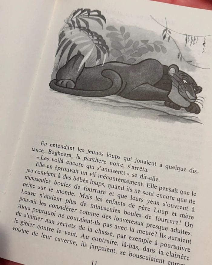 Livre « le livre de la jungle » édition collector de 1969 - photo numéro 4