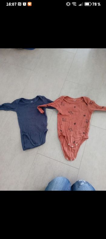 Bodies