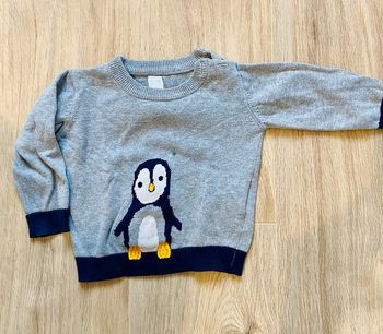 Pull pingouin