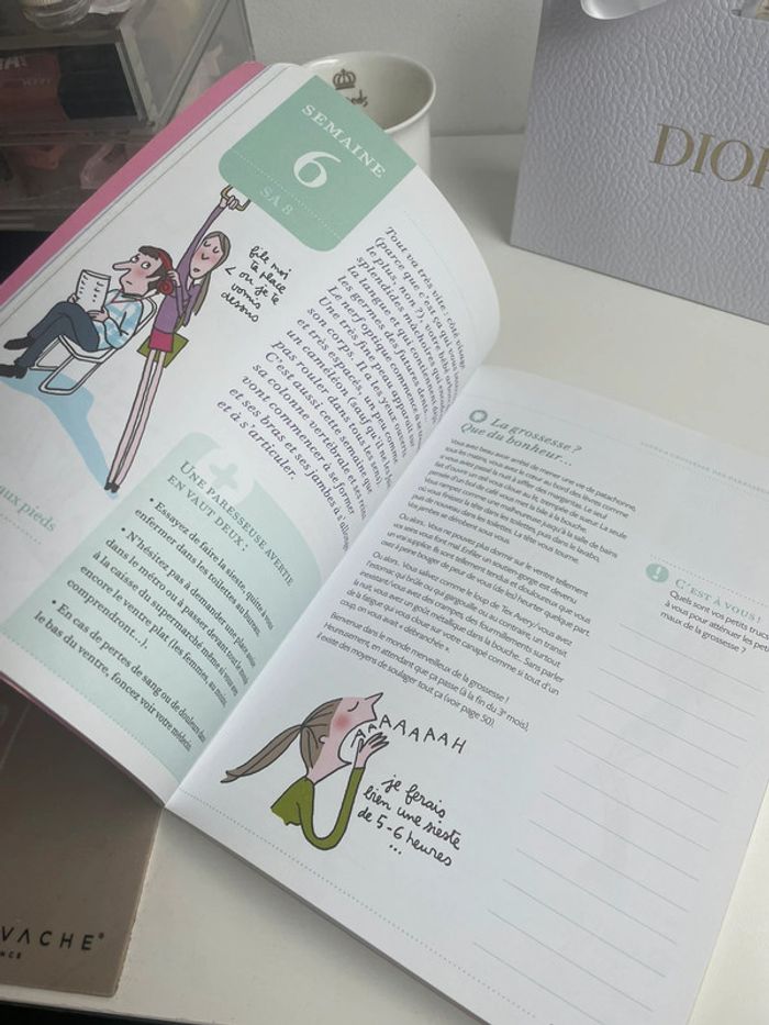 Le cahier grossesse des paresseuses - photo numéro 4