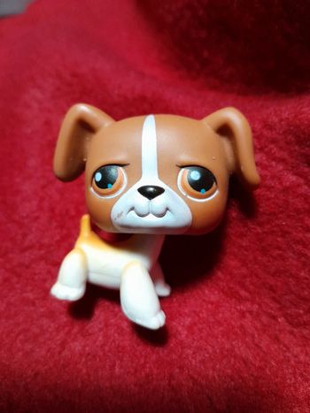 Figurine Petshop A13. A