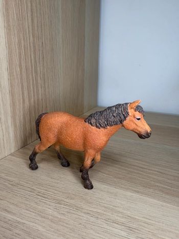 Poney dartmoor schleich