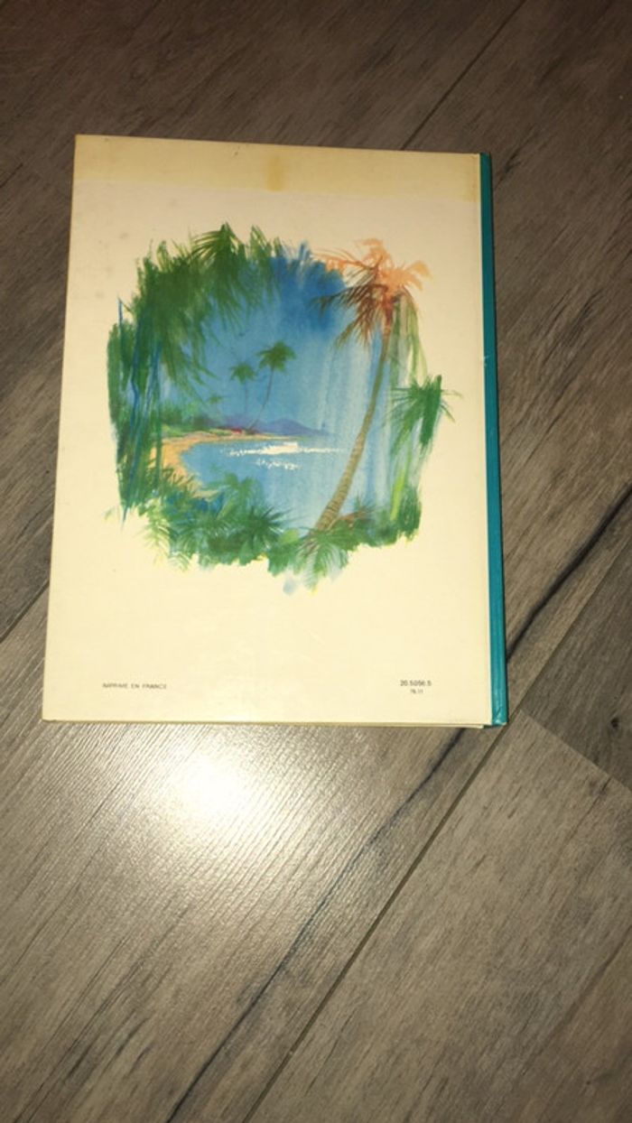 Livre Jerry dans l île Jack London - photo numéro 2