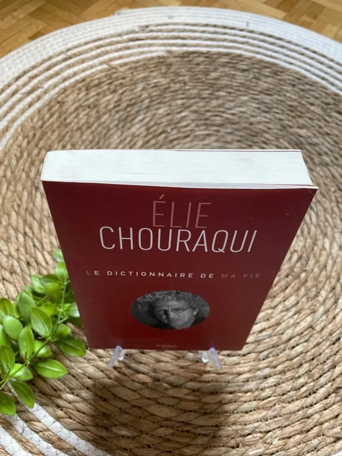 Livre - Le dictionnaire de ma vie - photo numéro 2